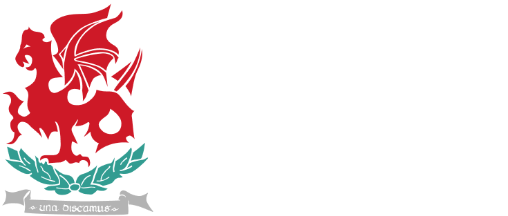 Wellington College Belfast Logo