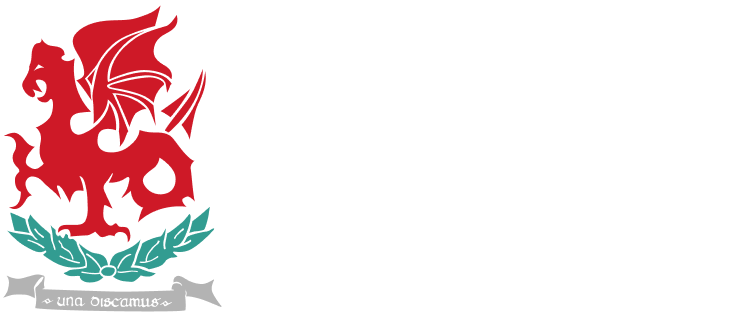 Homepage - Wellington College Belfast